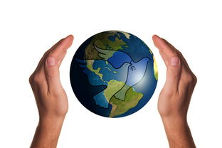 playace游戏-罗马尼亚队赛制评析：如何在团队赛中实现个人与集体的和谐统一  第2张